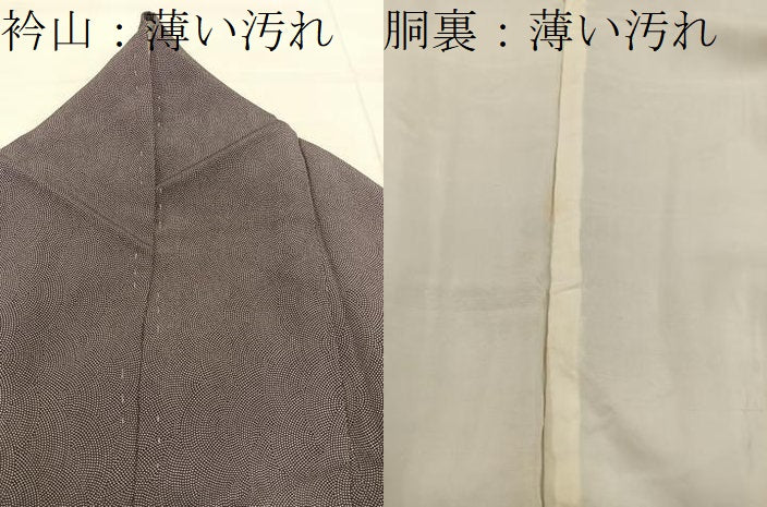 平和屋着物■江戸小紋　鮫小紋柄　正絹　逸品　BAAX8623mz