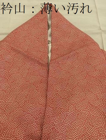 平和屋着物■江戸小紋　草花文　正絹　逸品　BAAX8627mz