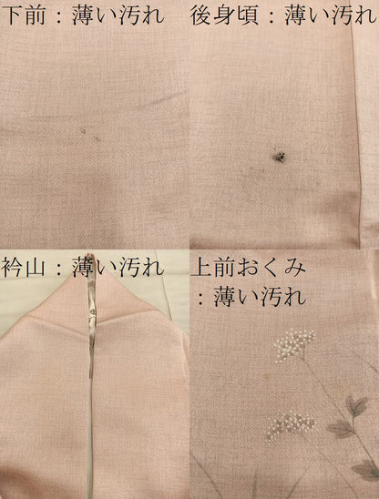 平和屋着物■訪問着　手描き　菊花文　正絹　逸品　BAAX8632mz