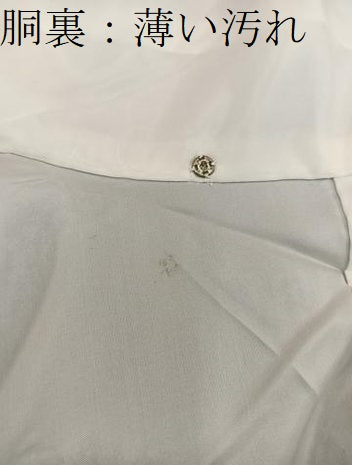 平和屋着物■上質な小紋　切嵌花文　鬼しぼ縮緬　正絹　逸品　BAAX8645mz