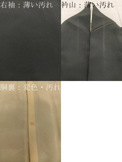 平和屋着物■豪華黒留袖　駒刺繍　飛鶴文　金彩　正絹　逸品　BAAX8648mz
