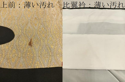平和屋着物■豪華黒留袖　駒刺繍　菊花文　金彩　正絹　逸品　BAAX8649mz