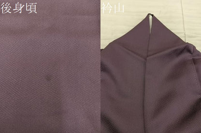 平和屋着物●訪問着　スワトウ刺繍　雪輪牡丹花文　暈し染め　金彩　正絹　逸品　BAAX8658mz