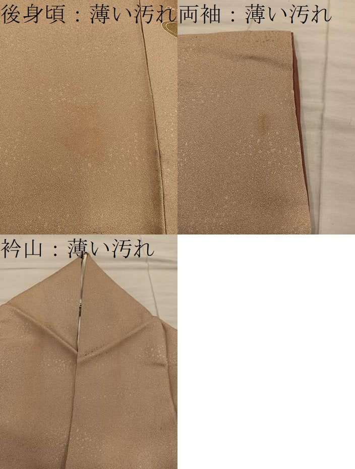 平和屋着物■訪問着　刺繍　菊花文　暈し染め　金彩　正絹　逸品　BAAX8667mz