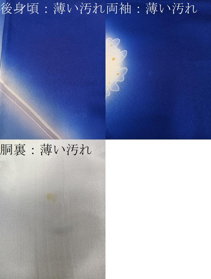 平和屋着物■訪問着　御所車花文　暈し染め　正絹　逸品　BAAX8735mz