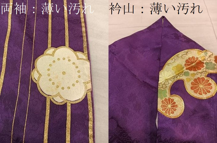 平和屋着物■豪華振袖　駒刺繍　立波菊花文　金彩　正絹　逸品　BAAX8771mz
