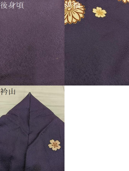 平和屋着物●豪華振袖　雪輪菊花文　金彩　正絹　逸品　BAAX8804mz