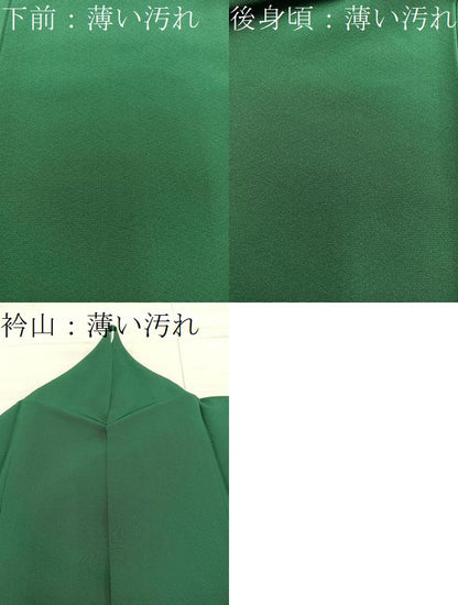 平和屋着物■上質な色無地　千歳緑色　正絹　逸品　BAAX8813mz