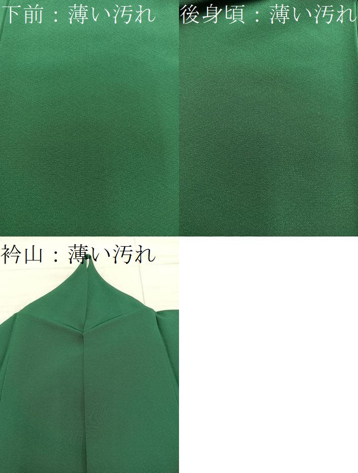 平和屋着物■上質な色無地　千歳緑色　正絹　逸品　BAAX8813mz