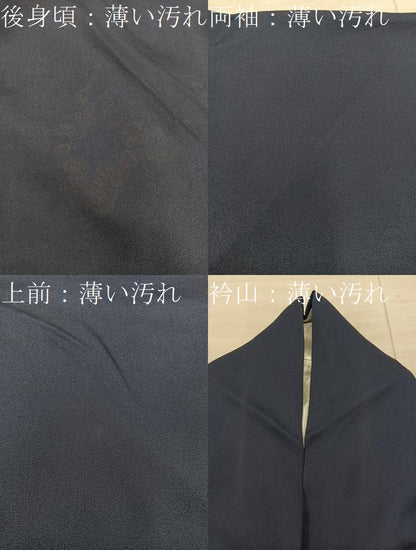 平和屋着物■訪問着　向かい鳥花文　金彩　正絹　逸品　BAAX8833mz