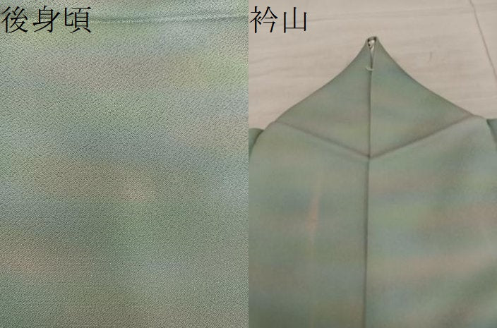 平和屋着物●染色作家　松本伸　虹彩染め　訪問着　霞文　暈し染め　正絹　逸品　BAAX8840mz