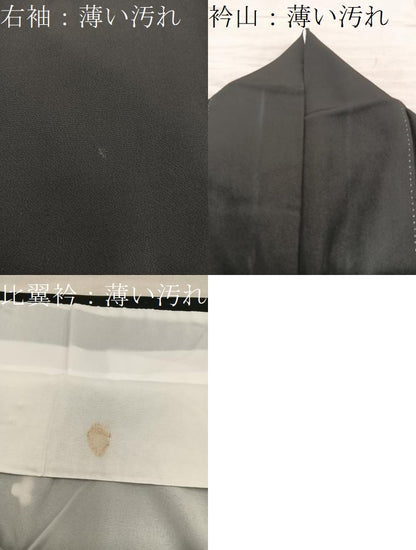 平和屋着物■豪華黒留袖　束ね熨斗菊花文　金彩　正絹　逸品　BAAX8886mz