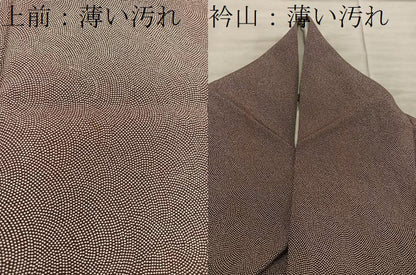 平和屋着物■江戸小紋　鮫小紋柄　正絹　逸品　BAAX8906mz