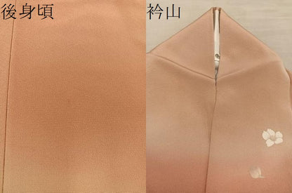 平和屋着物●訪問着　枝花文　暈し染め　正絹　逸品　BAAX8916mz