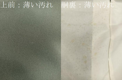 平和屋着物■豪華色留袖　流水枝葉文　正絹　逸品　BAAX8929mz