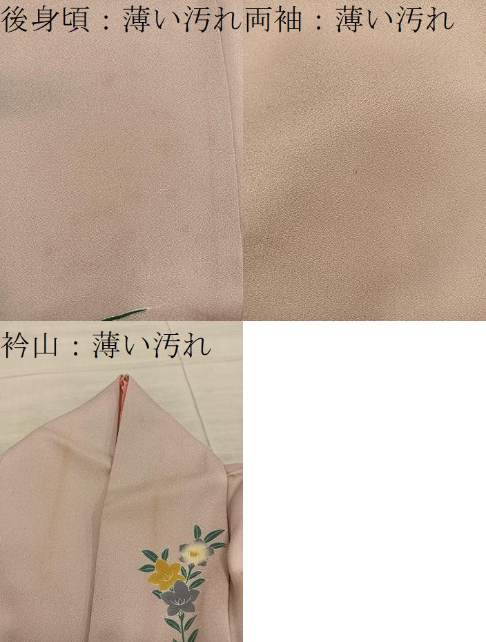 平和屋着物■上質な小紋　作家物　菊花文　正絹　逸品　BAAX8935mz