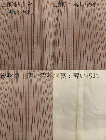 平和屋着物■江戸小紋　宍戸陵　間道　正絹　逸品　BAAX8946mz
