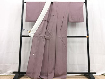 平和屋着物＊夏物　本加賀友禅作家　白坂幸蔵監修　色無地　絽縮緬　正絹　逸品　BAAX9014yc