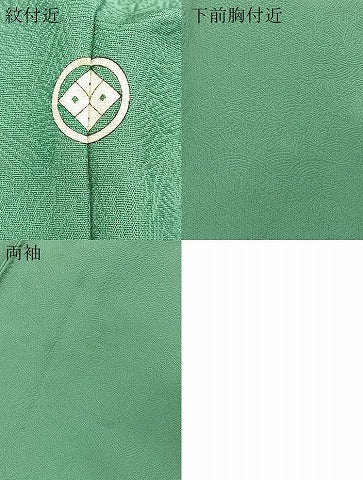 平和屋着物●上質な色無地　松竹梅地紋　木賊色　正絹　逸品　BAAX9047yc