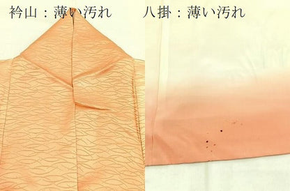平和屋着物■訪問着　駒刺繍　花車文　暈し染め　金彩　正絹　逸品　BAAX9095yc