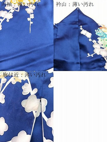 平和屋着物■豪華振袖　駒刺繍　花蝶丸文　金彩　正絹　逸品　BAAX9126yc
