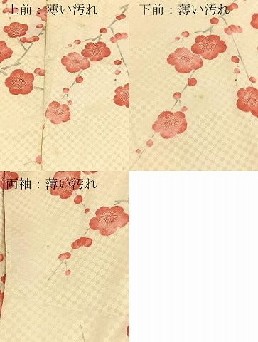 平和屋着物■小紋　枝梅文　洗える着物　BAAX9225yc