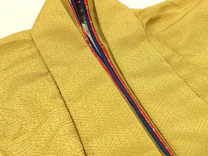 平和屋着物■訪問着　胴抜き仕立て　結び紐文　暈し染め　金彩　十二単風　洗える着物　BAAX9239yc