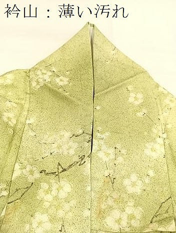 平和屋着物■小紋　枝花文　暈し染め　洗える着物　BAAX9247yc