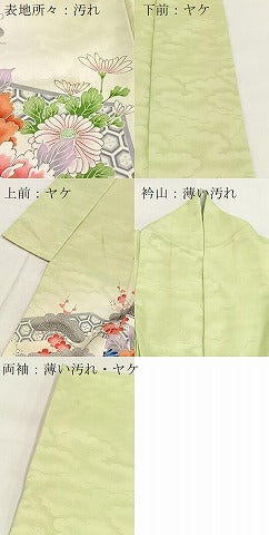 平和屋着物■訪問着　孔雀花文　暈し染め　金彩　洗える着物　BAAX9253yc