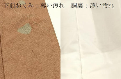 平和屋着物■小紋　絞り　草木文　洗える着物　BAAX9254yc