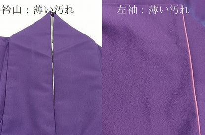 平和屋着物■訪問着　花蝶文　金銀彩　洗える着物　BAAX9274yc