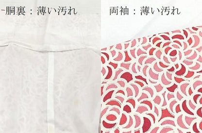 平和屋着物■小紋　薔薇尽くし　洗える着物　BAAX9289yc