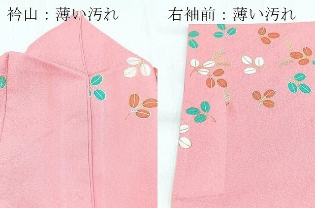 平和屋着物■訪問着　背抜き仕立て　花鳥風月　暈し染め　金銀彩　洗える着物　BAAX9290yc