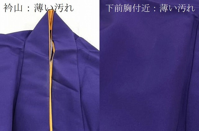 平和屋着物■訪問着　背抜き仕立て　桜散らし　金彩　洗える着物　BAAX9309yc