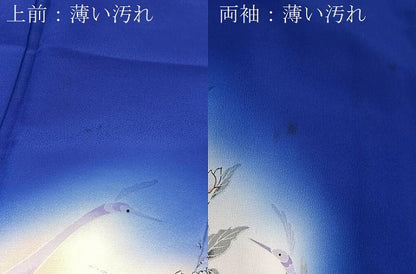 平和屋着物■訪問着　孔雀花文　暈し染め　金彩　洗える着物　BAAX9314yc