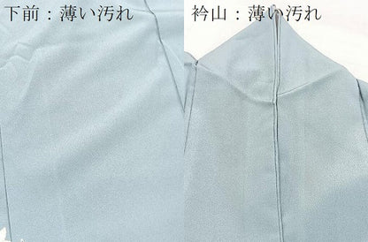 平和屋着物■色留訪問着　飛鶴花文　金彩　洗える着物　BAAX9316yc
