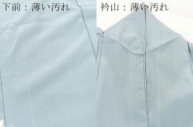 平和屋着物■色留訪問着　飛鶴花文　金彩　洗える着物　BAAX9316yc