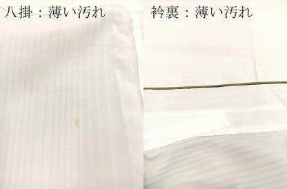 平和屋着物■小紋　カトレア　洗える着物　BAAX9339yc