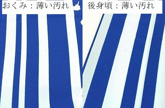 平和屋着物■小紋　雪月花　洗える着物　BAAX9353yc