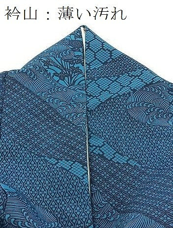 平和屋着物■小紋　立波草花文　洗える着物　BAAX9364yc