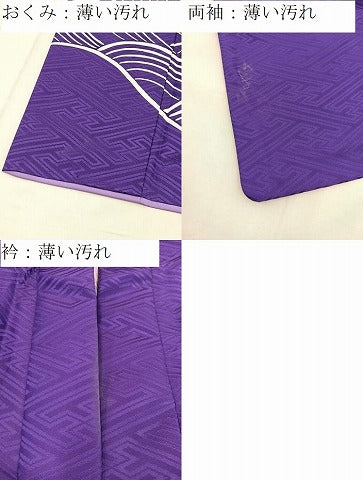 平和屋着物■訪問着　背抜き仕立て　立波藤花房文　洗える着物　BAAX9385yc