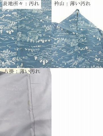 平和屋着物■小紋　御所解風景文　洗える着物　BAAX9391yc