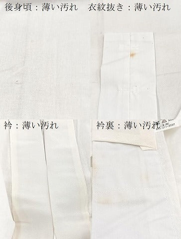 平和屋着物■長襦袢　単衣　桜散らし地紋　洗える着物　BAAX9401yc