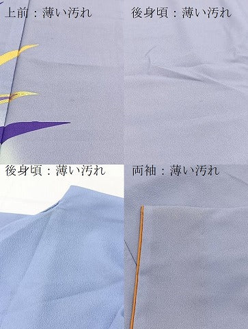 平和屋着物■訪問着　背抜き仕立て　薔薇　暈し染め　金彩　洗える着物　BAAX9460yc