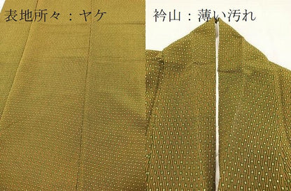 平和屋着物■小紋　幾何学文様　鬼しぼ縮緬　洗える着物　BAAX9487yc