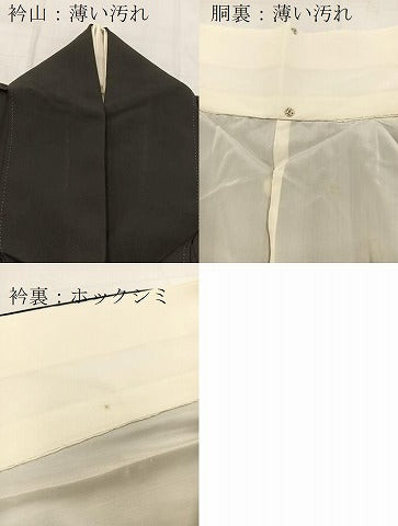 平和屋着物■豪華黒留袖　飛鶴風景文　金銀彩　正絹　逸品　BAAX9513yc