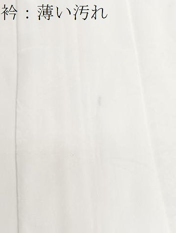 平和屋着物■長襦袢　袷　芝草花地　正絹　逸品　BAAX9538yc