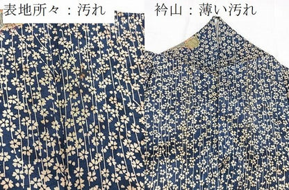 平和屋着物■上質な小紋　花蝶文　正絹　逸品　BAAX9550yc