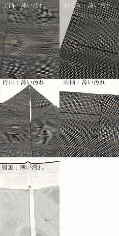 平和屋着物■上質な紬　100亀甲　吉祥横段文　正絹　逸品　BAAX9573yc
