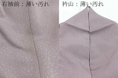 平和屋着物■色留訪問着　寿光織　更紗花蝶文　金彩　正絹　逸品　BAAX9586yc
